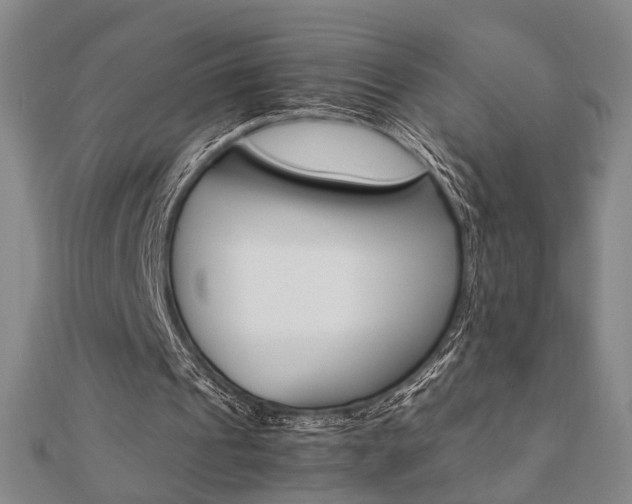 X0000112050241200908040955