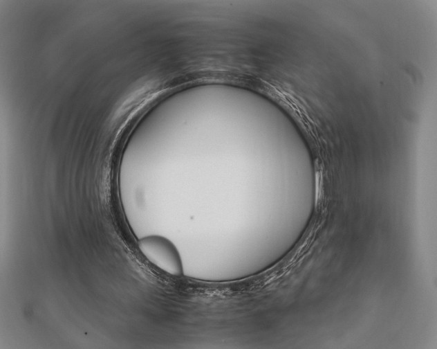X0000112050243200908040956