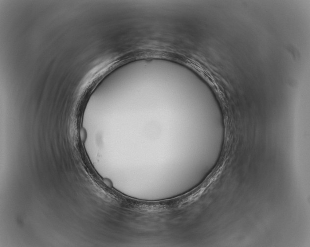 X0000112050245200908040956