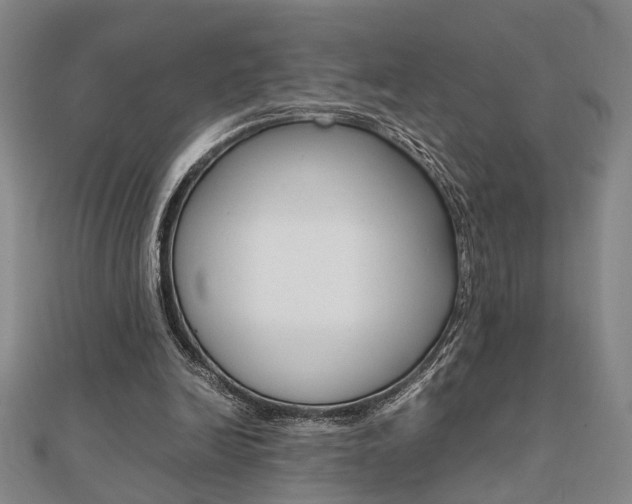 X0000112050246200908040956