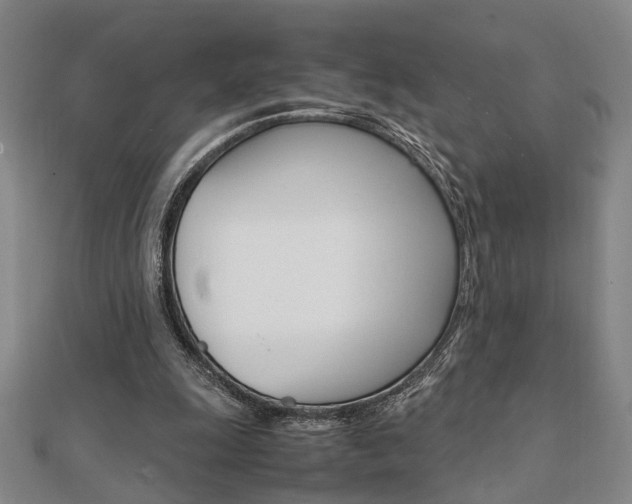 X0000112050247200908040956