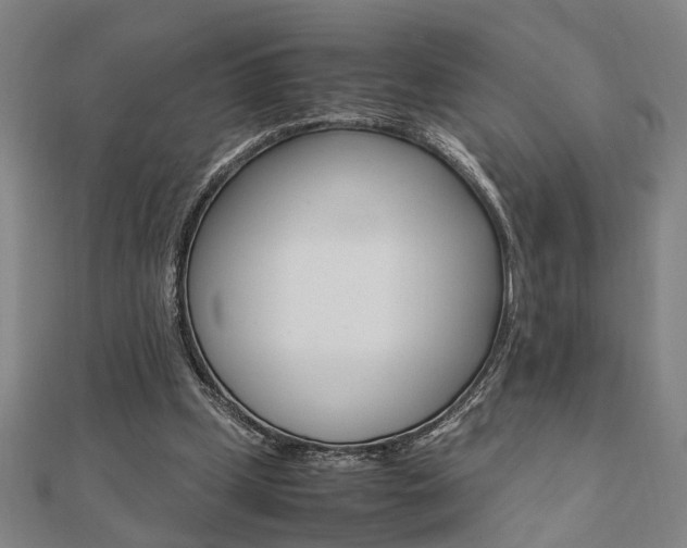 X0000112050249200908040956