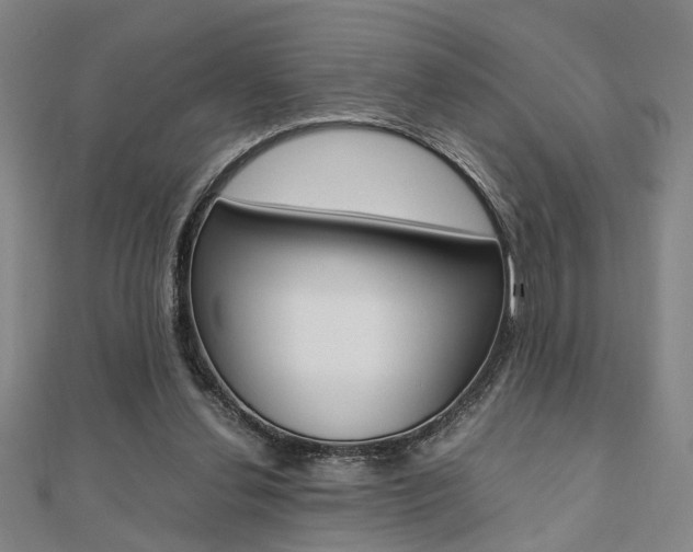 X0000112050252200908040956