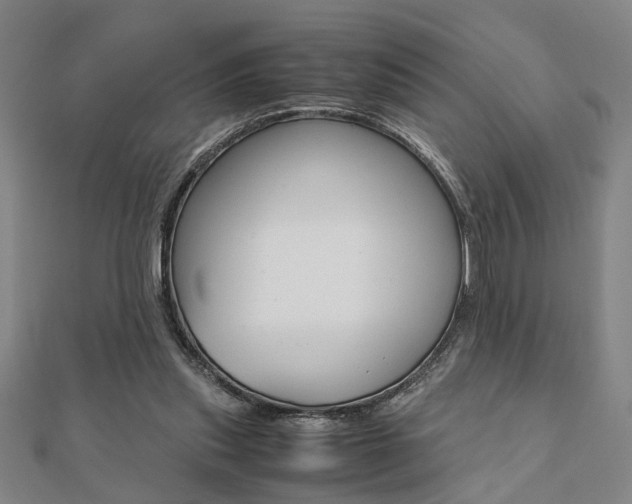 X0000112050253200908040956