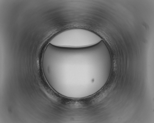 X0000112050254200908040956