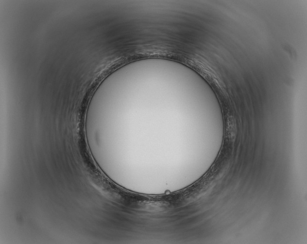 X0000112050255200908040956