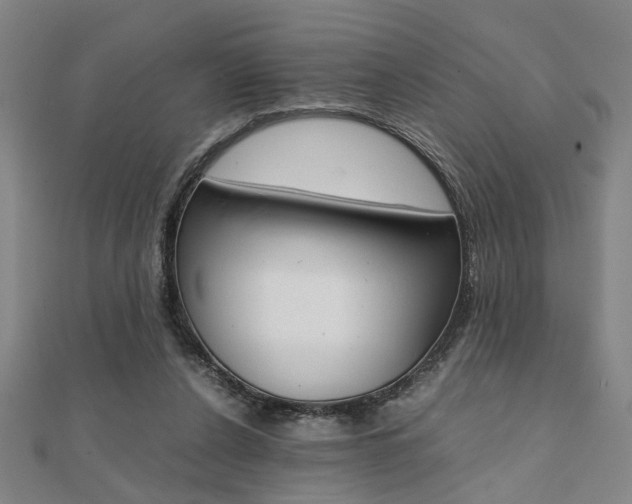 X0000112050256200908040956