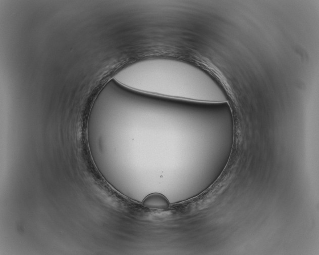 X0000112050257200908040956