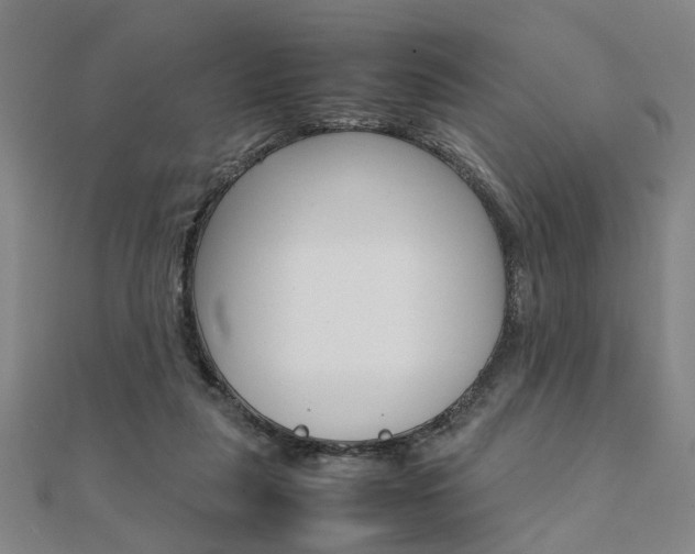 X0000112050259200908040956