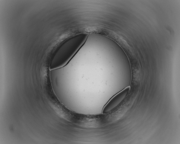 X0000112050260200908040956