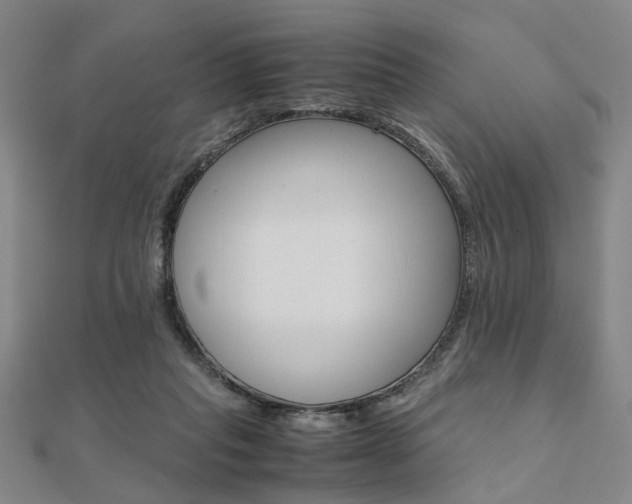 X0000112050261200908040956