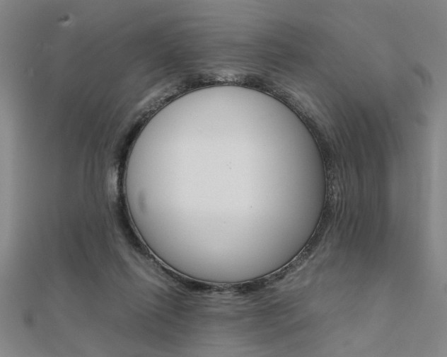 X0000112050262200908040956