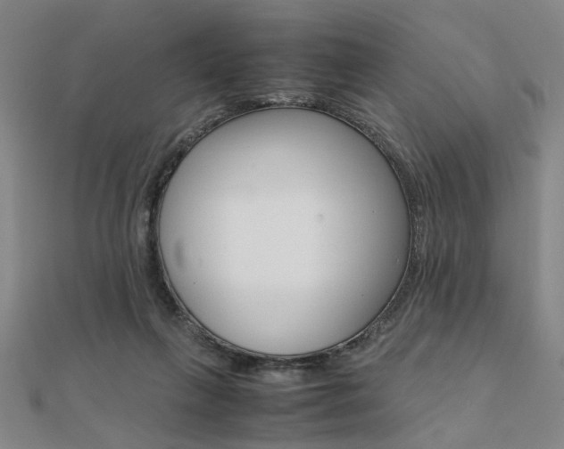 X0000112050263200908040956