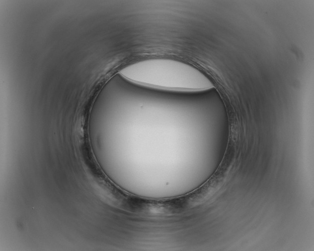 X0000112050264200908040956