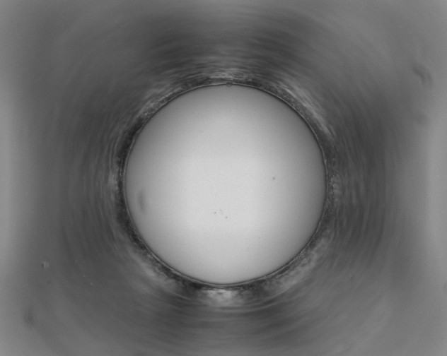 X0000112050265200908040956