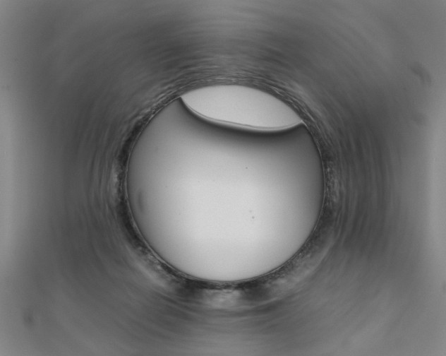 X0000112050266200908040956
