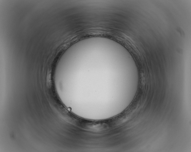 X0000112050267200908040956