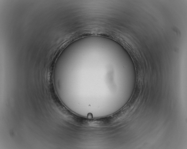 X0000112050268200908040956