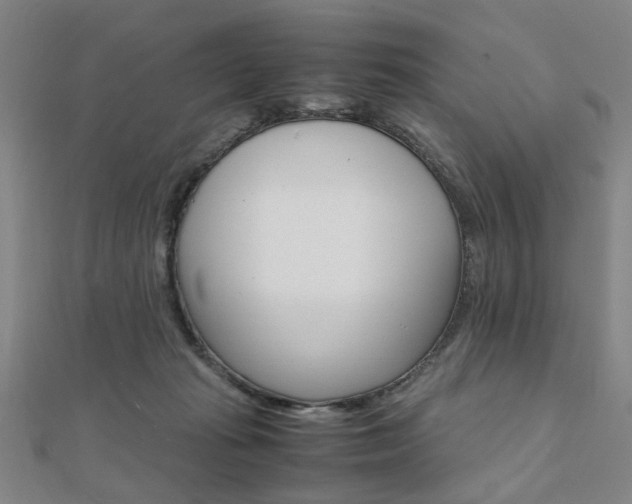 X0000112050269200908040956