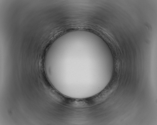 X0000112050270200908040956