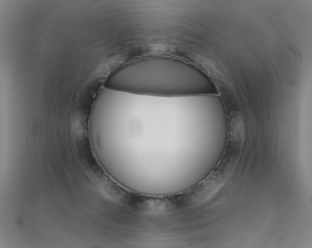 X0000112050272200908040956