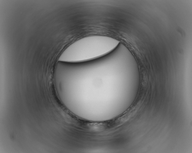 X0000112050273200908040956