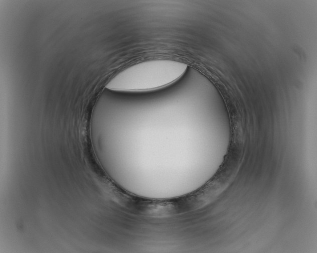 X0000112050274200908040956