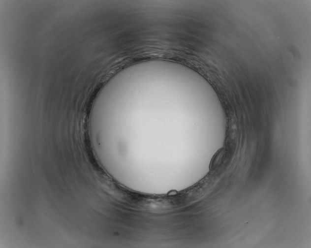 X0000112050275200908040956