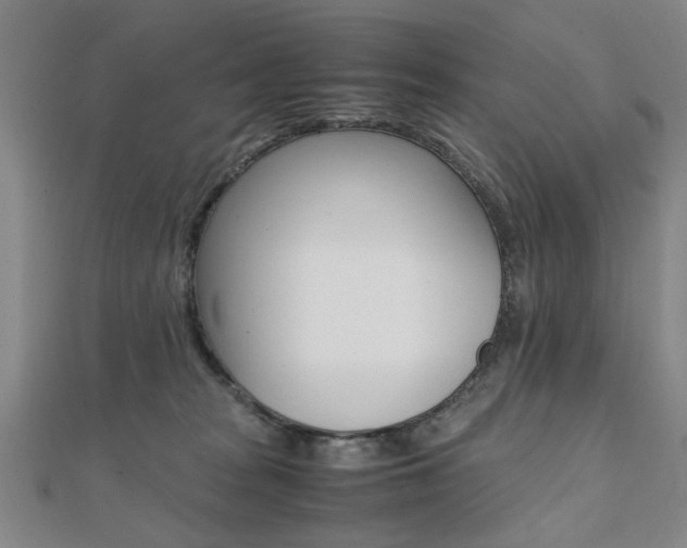 X0000112050277200908040956