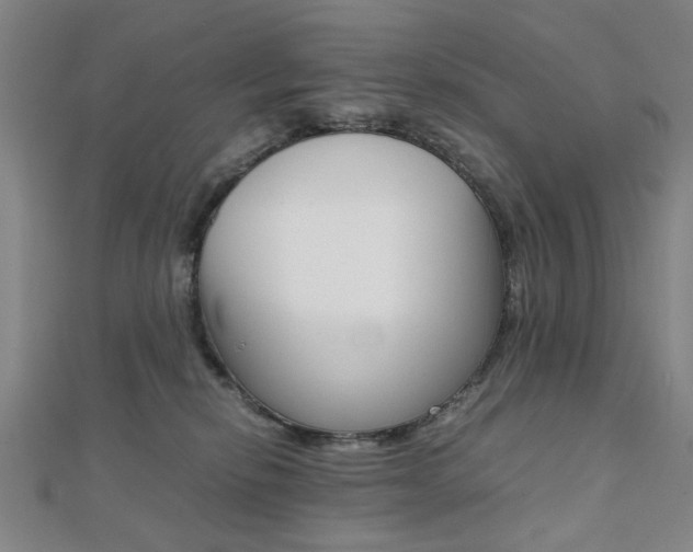 X0000112050278200908040956