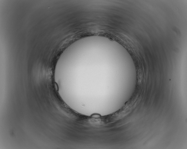 X0000112050279200908040956