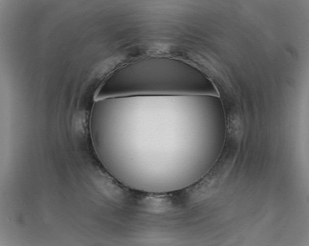 X0000112050280200908040956