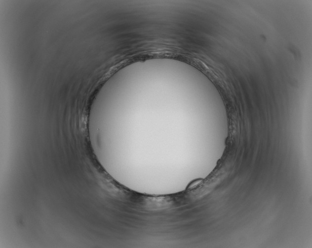 X0000112050281200908040956