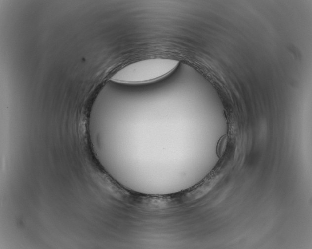 X0000112050282200908040956