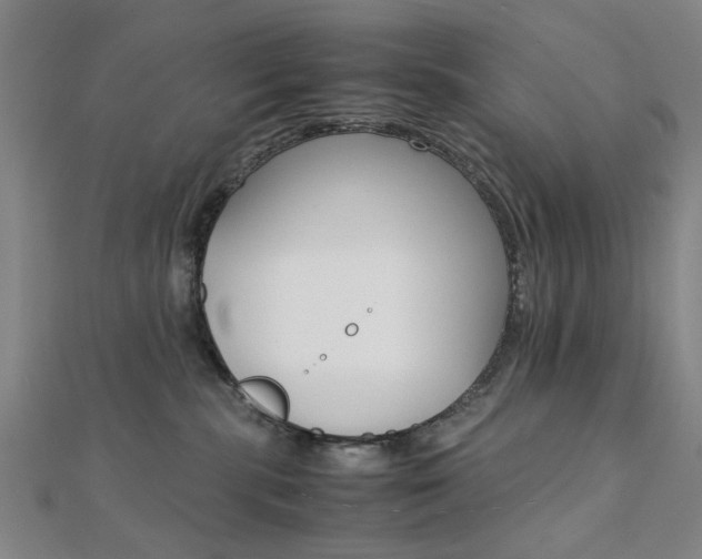 X0000112050283200908040956
