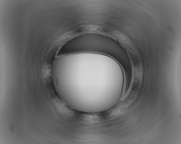 X0000112050284200908040956