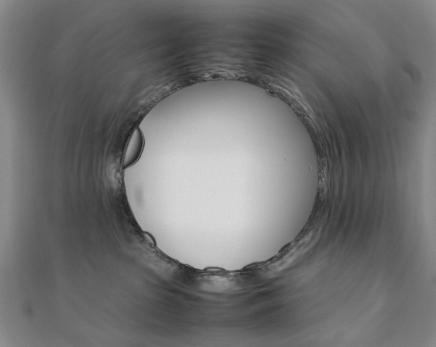 X0000112050285200908040956