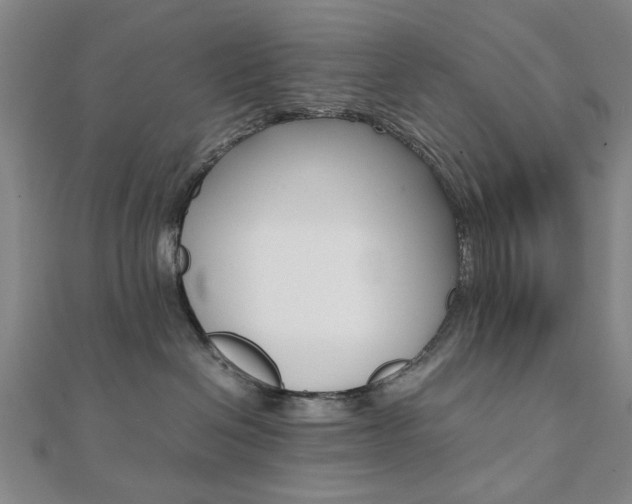 X0000112050286200908040956