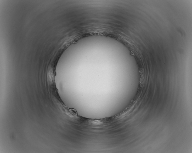 X0000112050287200908040956