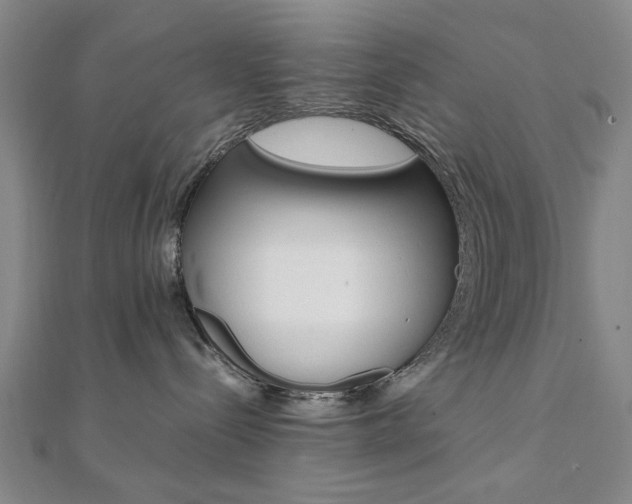 X0000112050288200908040956