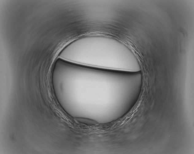 X0000112050289200908040955