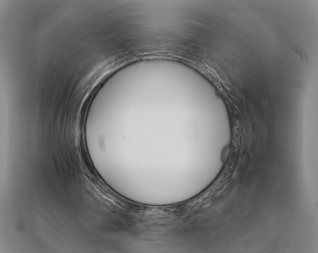 X0000112050290200908040955