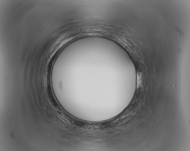 X0000112050291200908040955