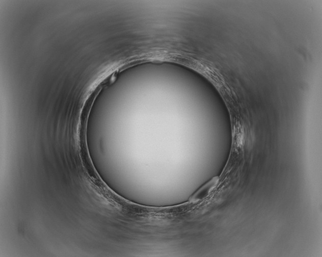 X0000112050292200908040955