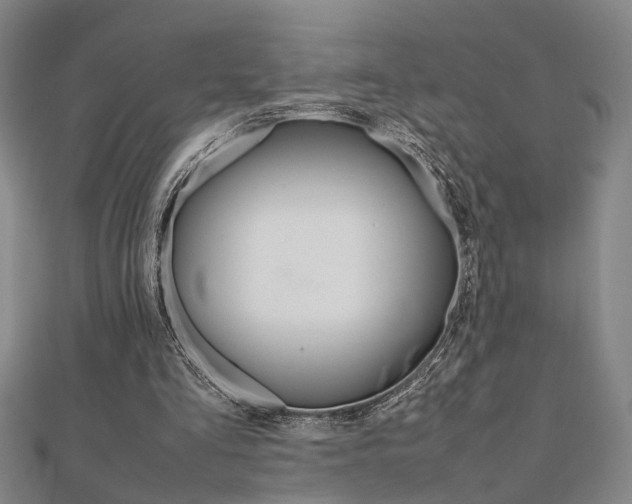 X0000112050293200908040955