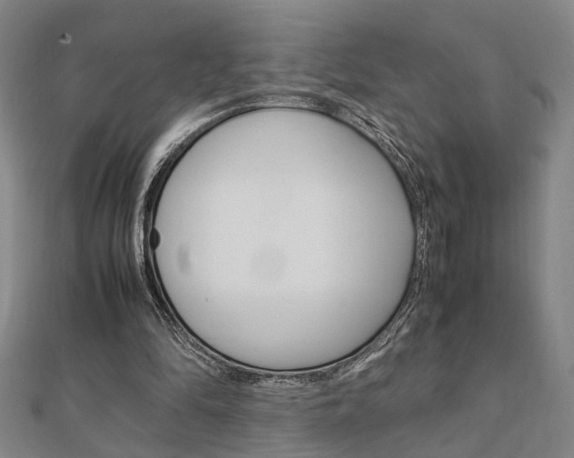 X0000112050294200908040955