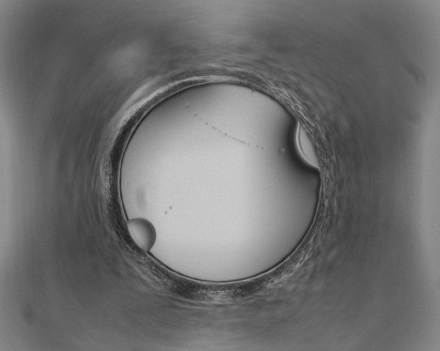X0000112050295200908040955