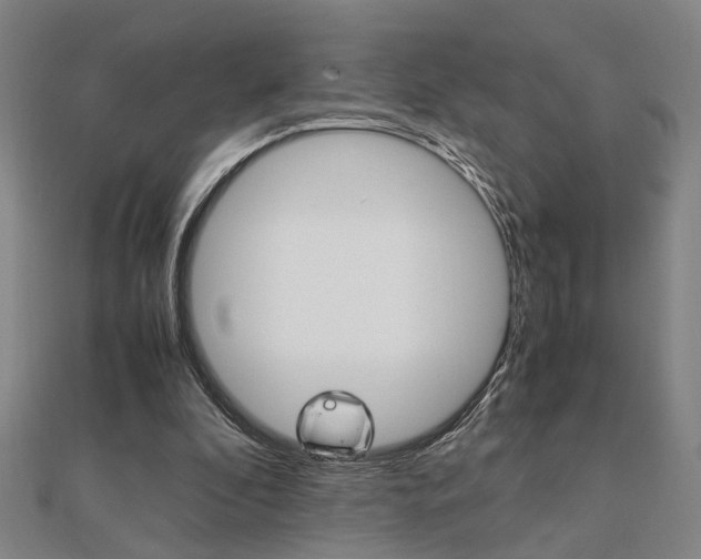 X0000112050296200908040955