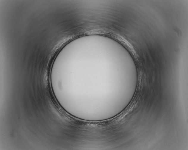 X0000112050298200908040955