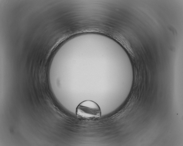 X0000112050300200908040955